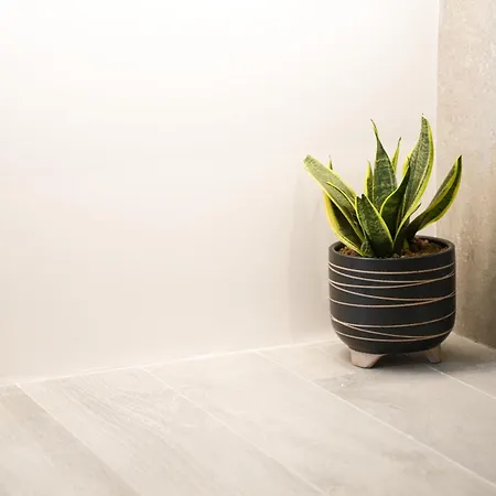 Appartement Apademia Luxury