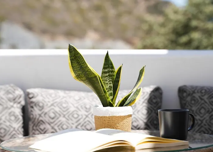 Apademia Luxury Skyros